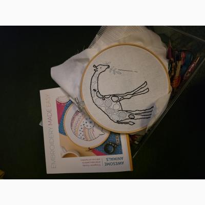Hand Embroidery of The Month: Perfect for Beginners - Intro Class