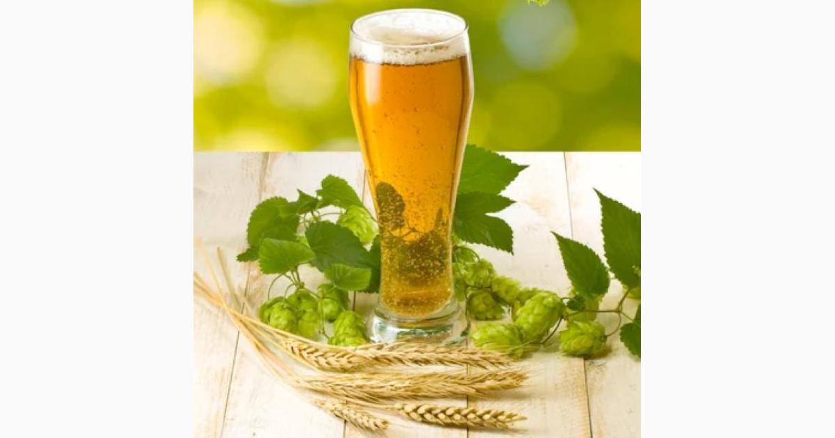 Spring Bierfest / Tasting