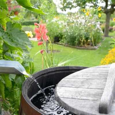 DIY Rain Collection Barrel Assembly Workshop