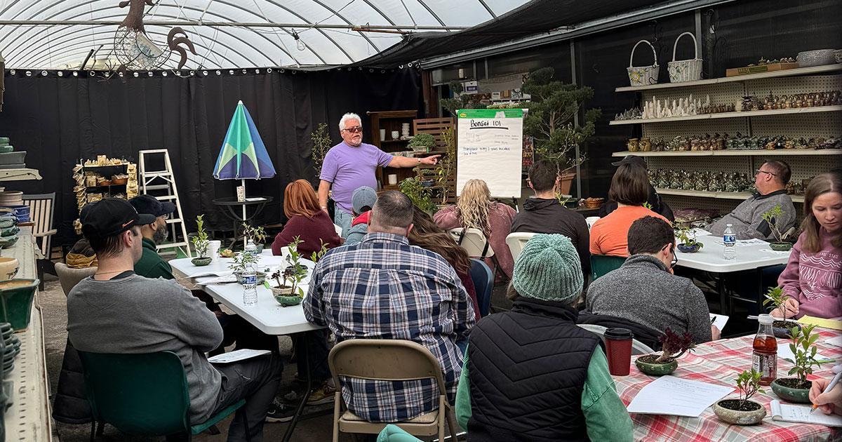 Houseplant Care 101 - North Dayton Garden Center