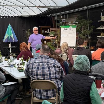 Houseplant Care 101 - North Dayton Garden Center