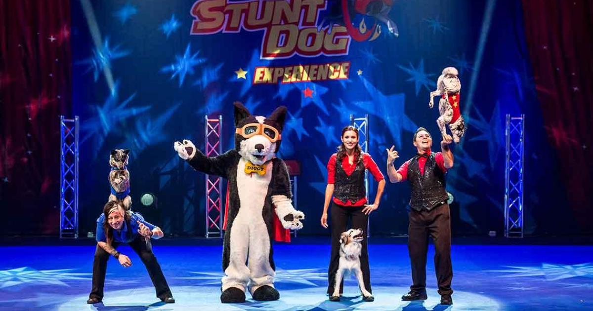 The Perondi's Stunt Dog Experience