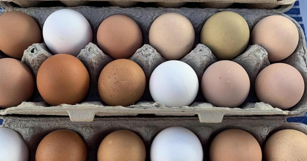 Yellow Springs Farmers Market