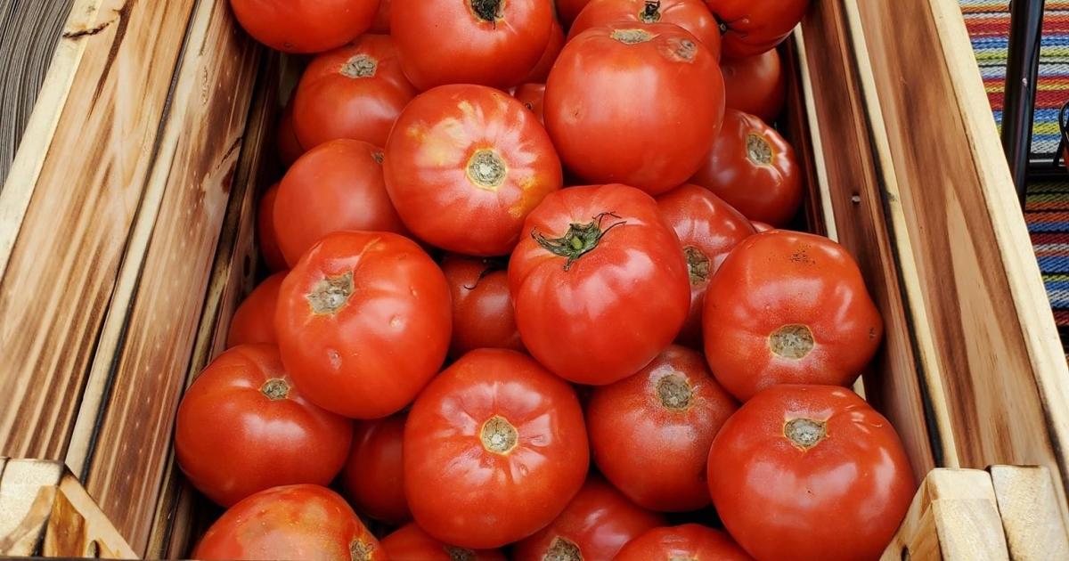 Greene County Farmers Market of Beavercreek