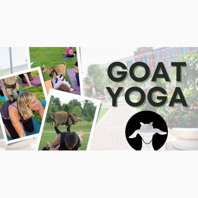 Goat Yoga at The Greene