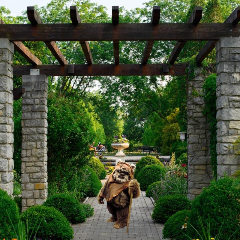 May The 4th Be With You—Wegerzyn Gardens Metropark