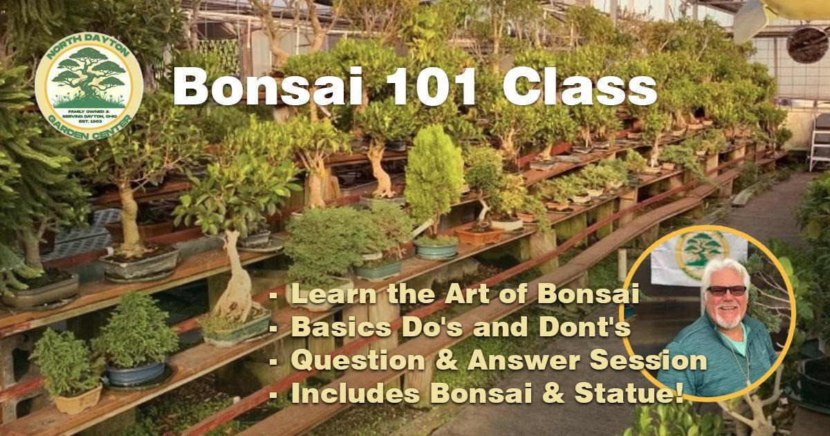 Bonsai 101 Class -includes Bonsai & Statue