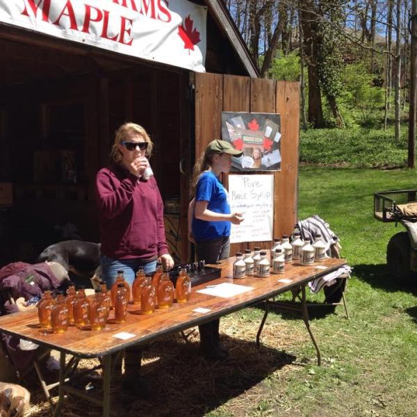 Sugar Maple Festival