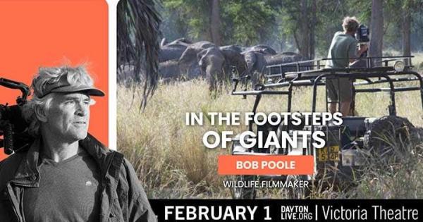 🐘🐘🐘 In The Footsteps Of Giants With Nat Geo Filmmaker Bob Poole
