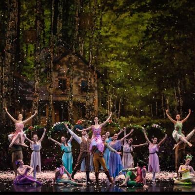 A Midsummer Night’s Dream & Force Flux