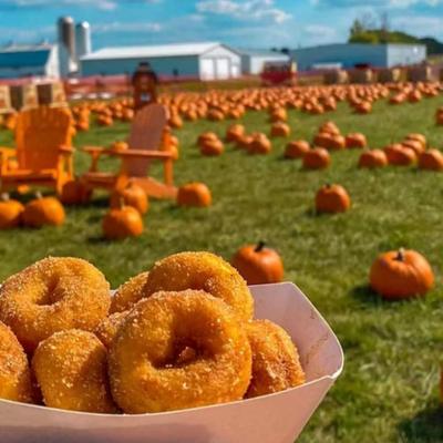 Niederman Family Farm Fall Festival